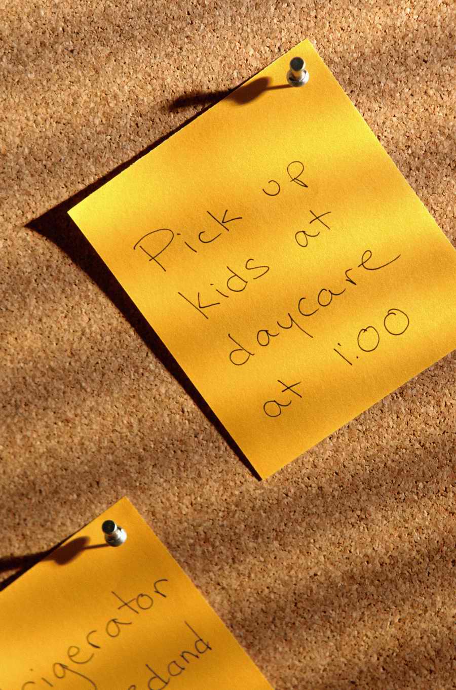 Education [PD41] - Photodisc ></a>
<script language=JavaScript> 
  var txt = 