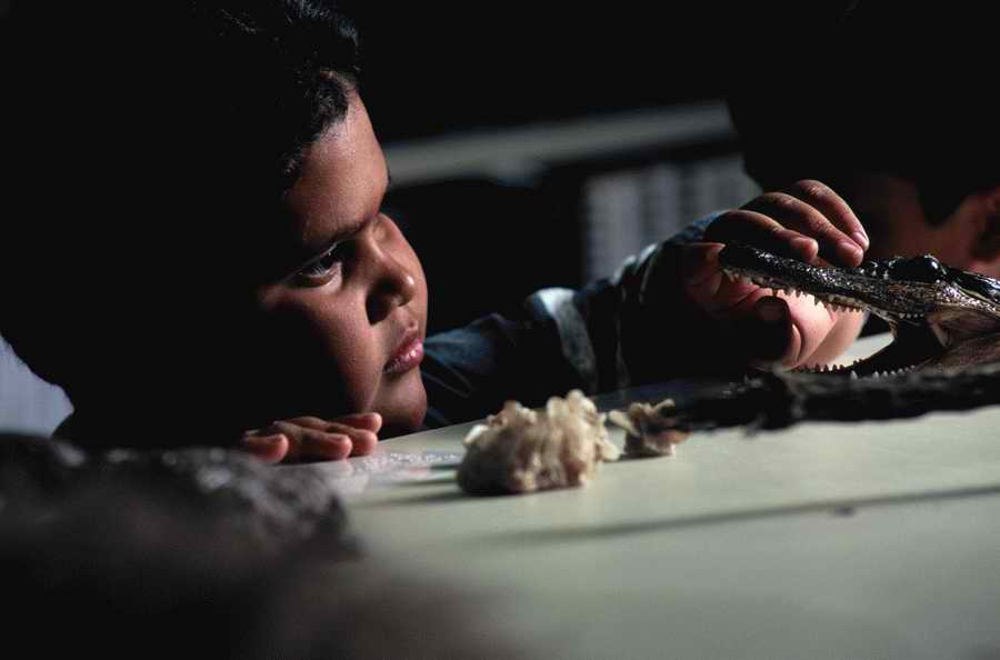 Education [PD41] - Photodisc ></a>
<script language=JavaScript> 
  var txt = 