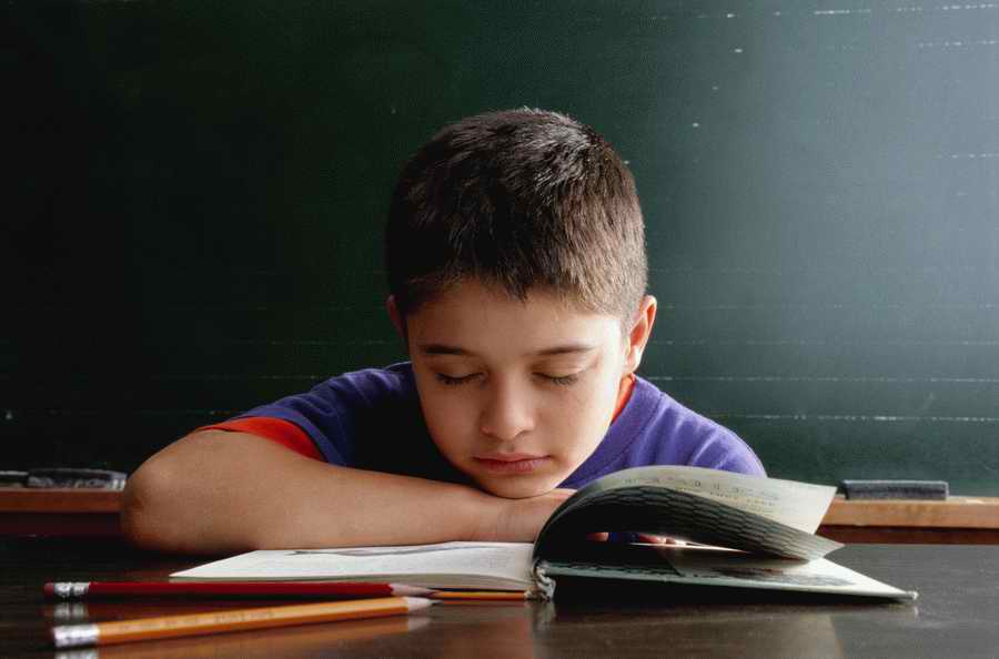 Education [PD41] - Photodisc ></a>
<script language=JavaScript> 
  var txt = 