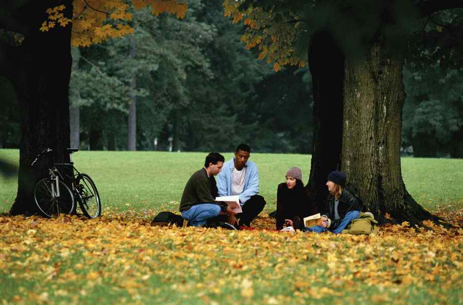 Education [PD41] - Photodisc ></a>
<script language=JavaScript> 
  var txt = 