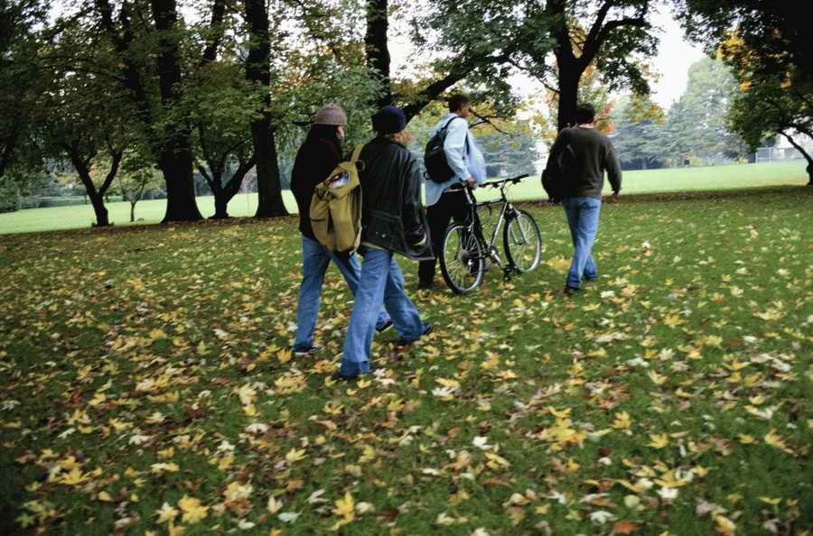 Education [PD41] - Photodisc ></a>
<script language=JavaScript> 
  var txt = 