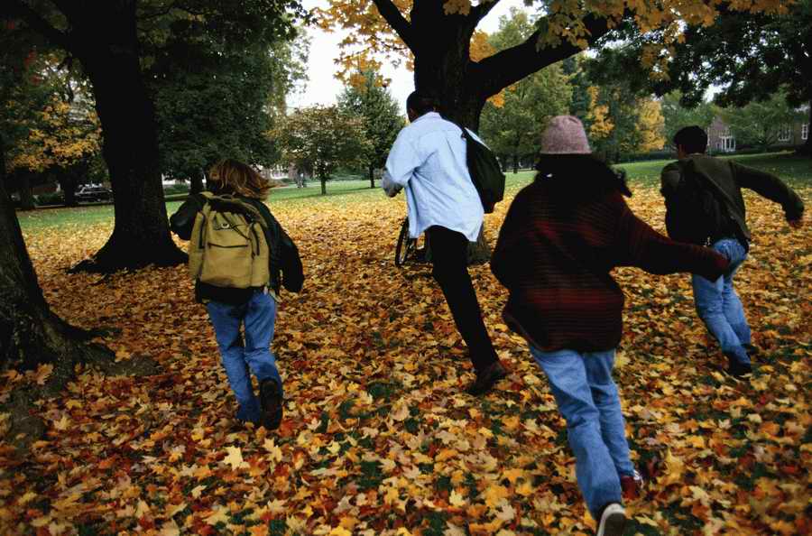 Education [PD41] - Photodisc ></a>
<script language=JavaScript> 
  var txt = 