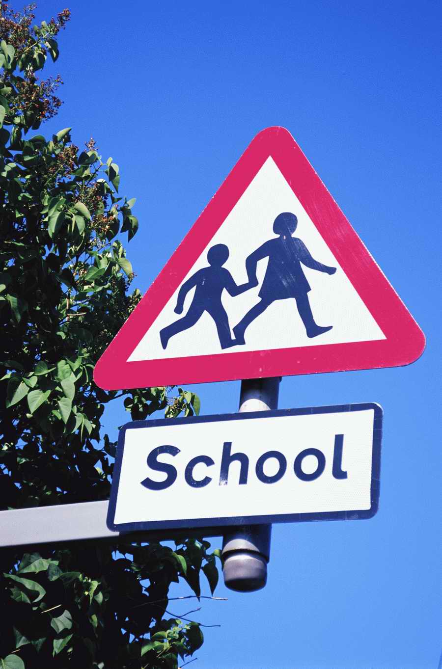 Education [PD24] - Photodisc ></a>
<script language=JavaScript> 
  var txt = 