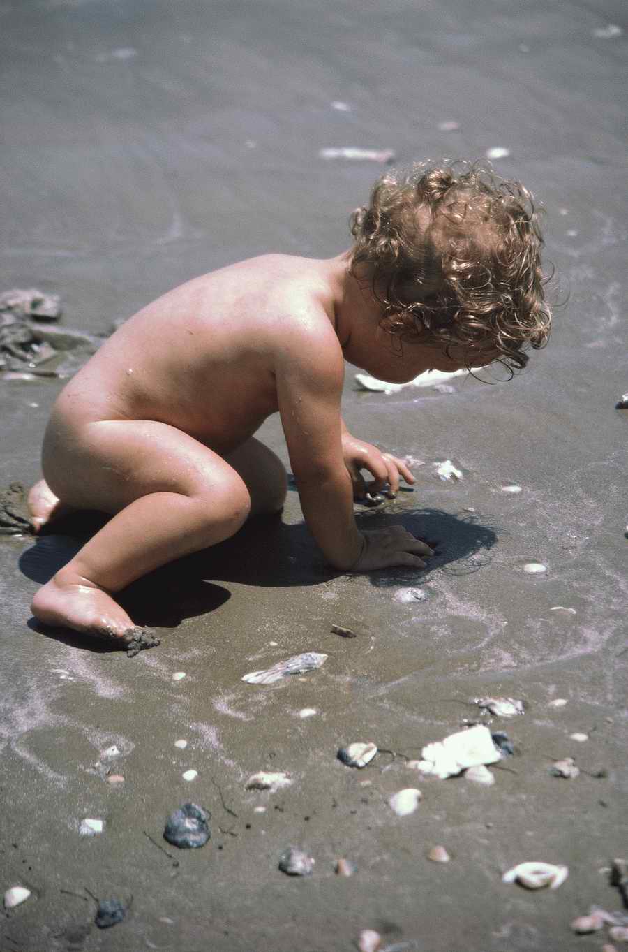 Everyday Living - Photodisc ></a>
<script language=JavaScript> 
  var txt = 