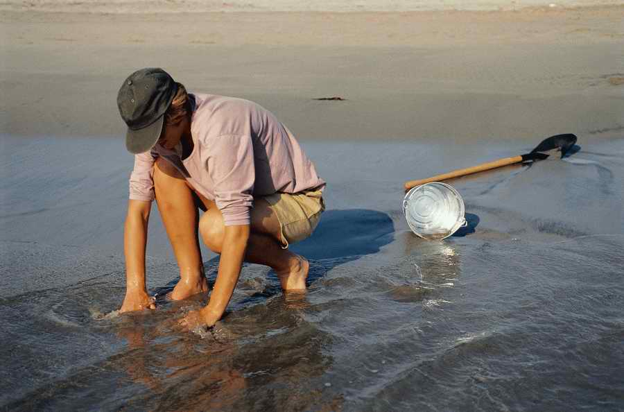 Everyday Living - Photodisc ></a>
<script language=JavaScript> 
  var txt = 