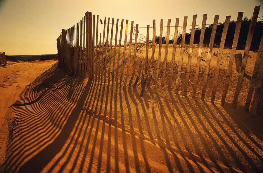 Everyday Living - Photodisc ></a>
<script language=JavaScript> 
  var txt = 