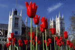 Photodisc: European Landmarks & Travel 