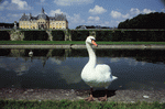 Photodisc: European Landmarks & Travel 