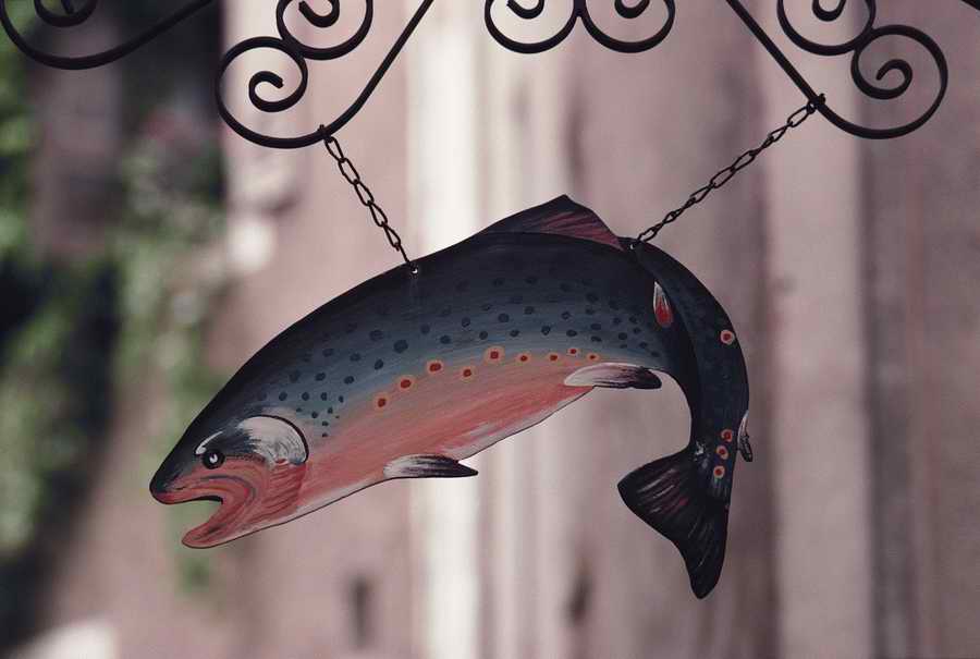 Food & Dining - Photodisc ></a>
<script language=JavaScript> 
  var txt = 