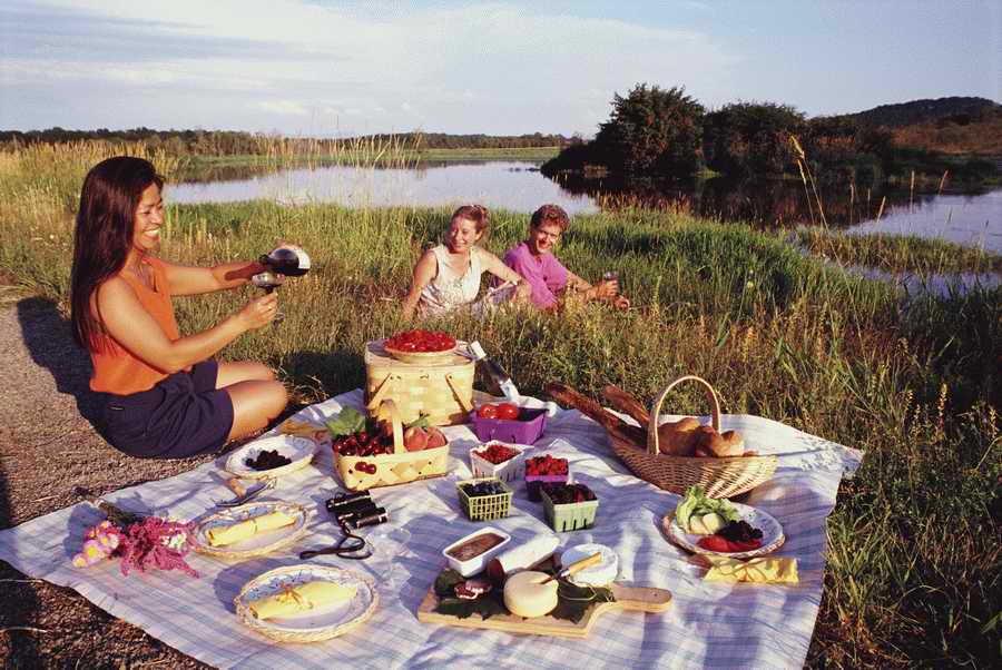 Family & Lifestyles - Photodisc ></a>
<script language=JavaScript> 
  var txt = 