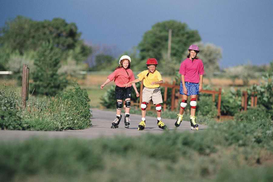 Family & Lifestyles - Photodisc ></a>
<script language=JavaScript> 
  var txt = 