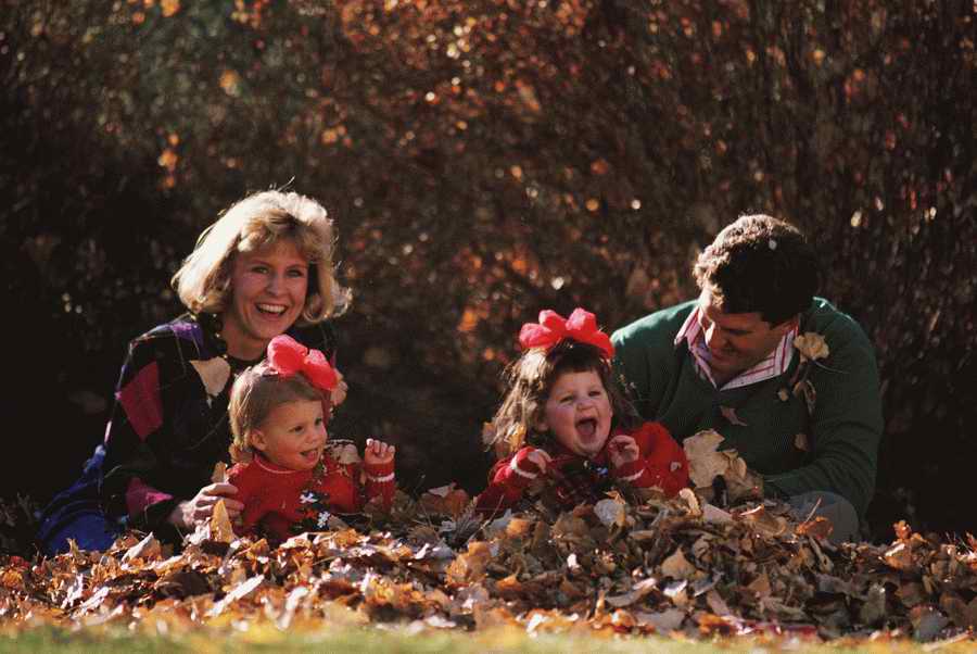 Family & Lifestyles - Photodisc ></a>
<script language=JavaScript> 
  var txt = 