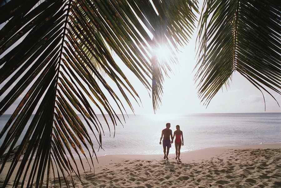 Family & Lifestyles - Photodisc ></a>
<script language=JavaScript> 
  var txt = 