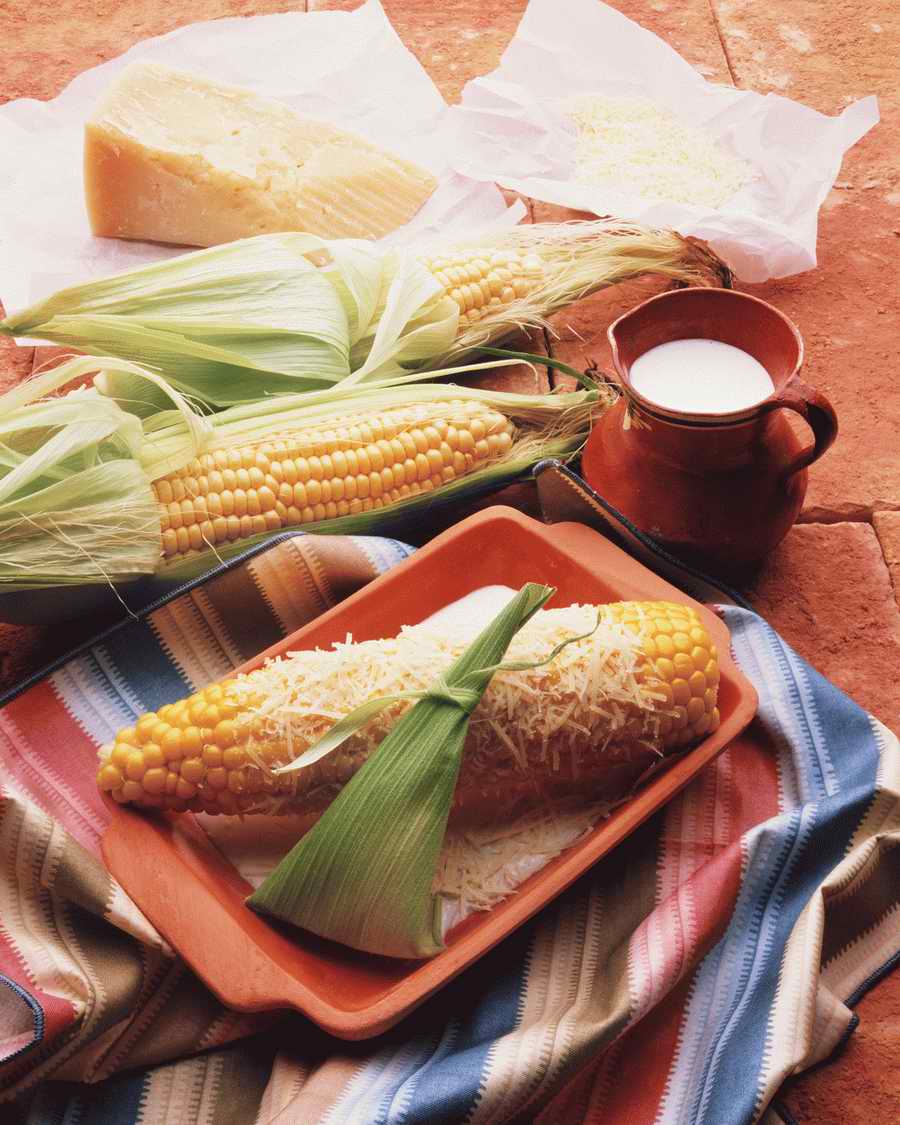 Food Essentials - Photodisc ></a>
<script language=JavaScript> 
  var txt = 