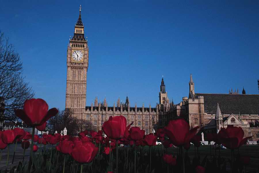 Government & Social Issues - Photodisc ></a>
<script language=JavaScript> 
  var txt = 