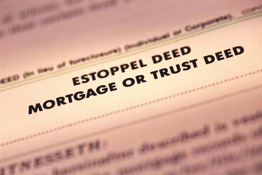 Government & Social Issues - Photodisc ></a>
<script language=JavaScript> 
  var txt = 