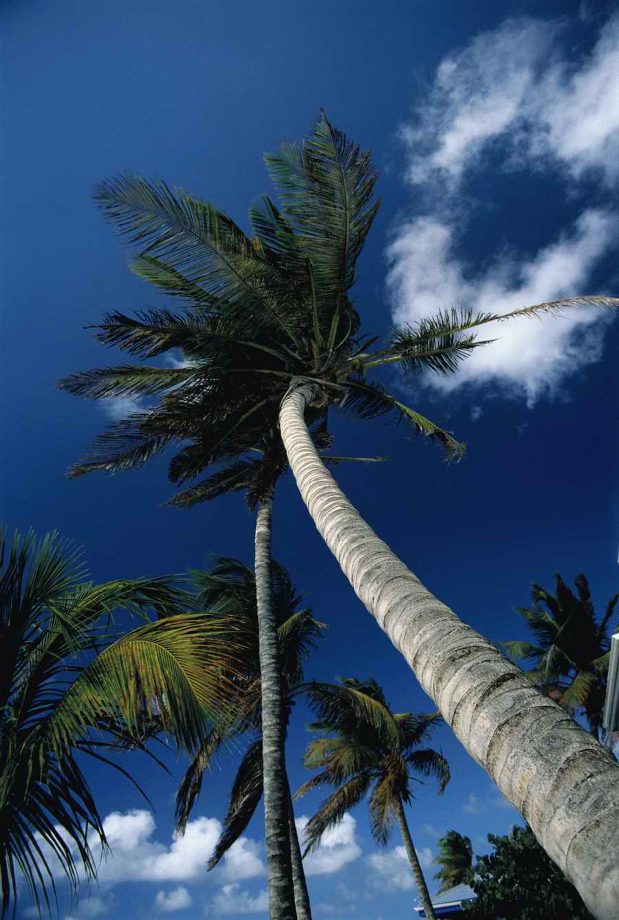 Going on Holiday - Photodisc ></a>
<script language=JavaScript> 
  var txt = 