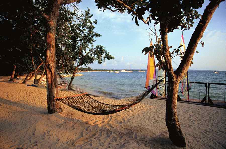 Going on Holiday - Photodisc ></a>
<script language=JavaScript> 
  var txt = 