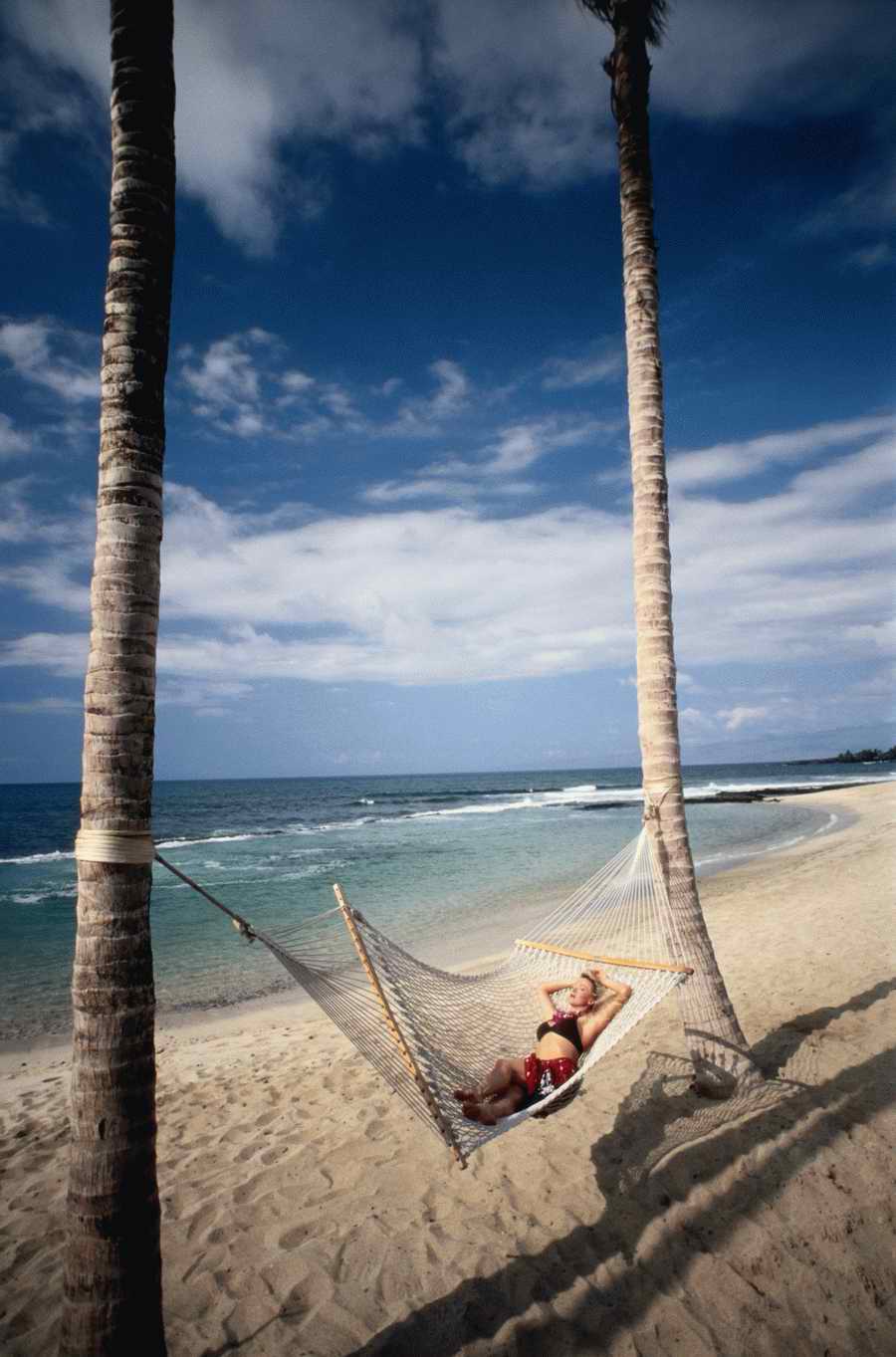 Going on Holiday - Photodisc ></a>
<script language=JavaScript> 
  var txt = 