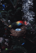 Photodisc: Holidays & Celebrations 