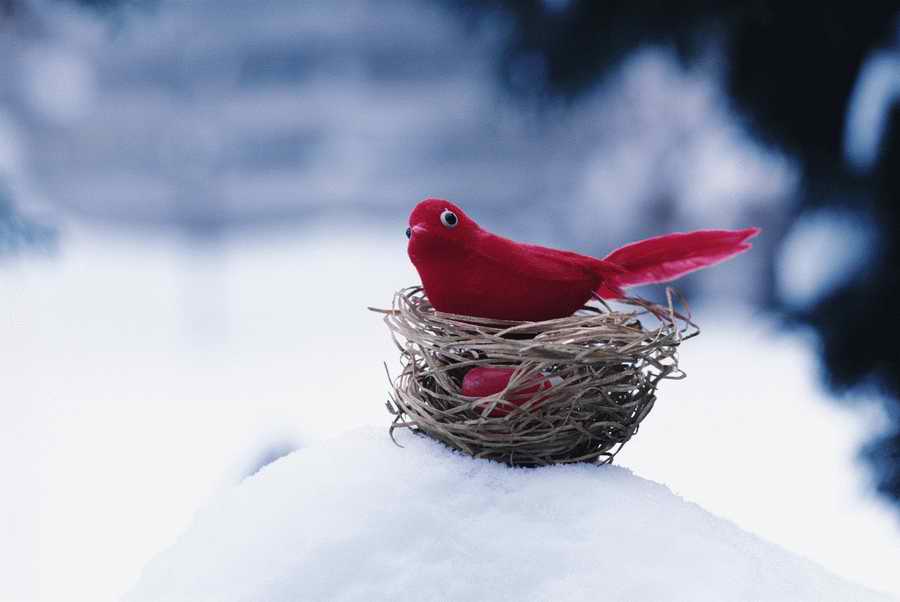 Holidays & Celebrations - Photodisc ></a>
<script language=JavaScript> 
  var txt = 