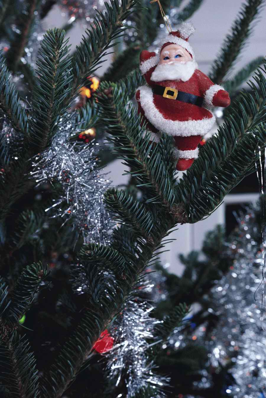 Holidays & Celebrations - Photodisc ></a>
<script language=JavaScript> 
  var txt = 