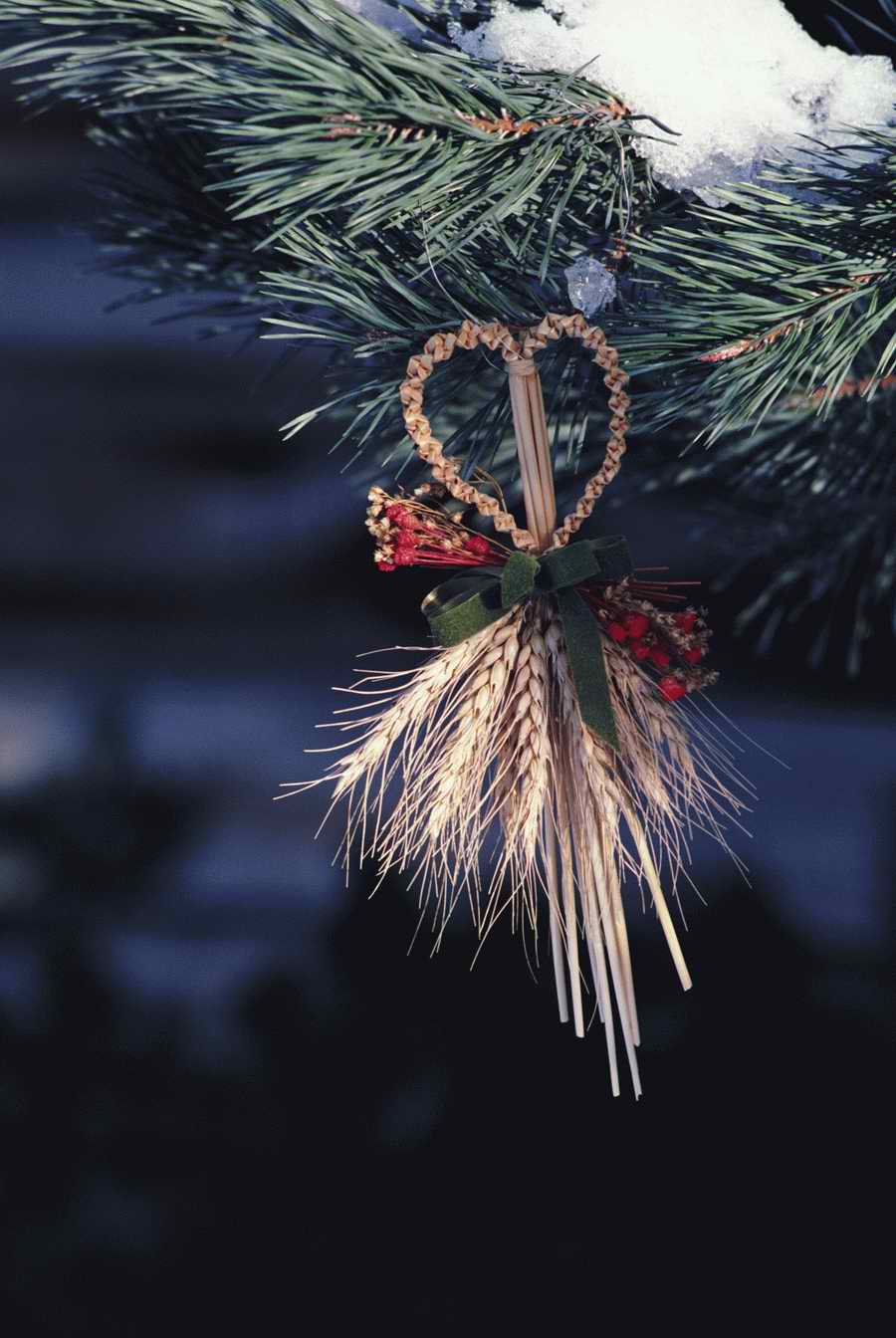 Holidays & Celebrations - Photodisc ></a>
<script language=JavaScript> 
  var txt = 