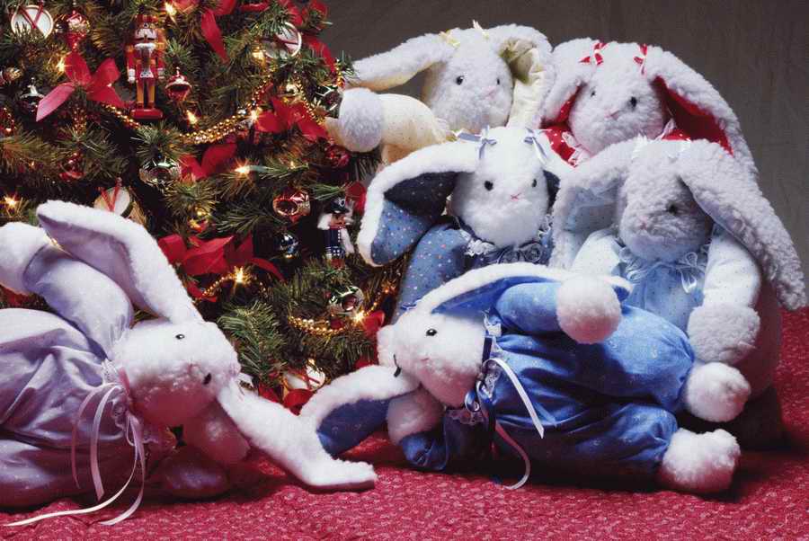 Holidays & Celebrations - Photodisc ></a>
<script language=JavaScript> 
  var txt = 