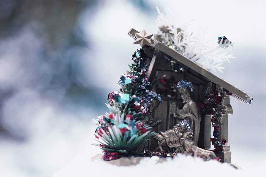 Holidays & Celebrations - Photodisc ></a>
<script language=JavaScript> 
  var txt = 