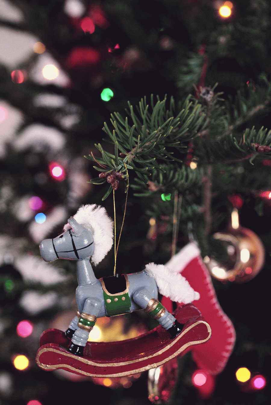 Holidays & Celebrations - Photodisc ></a>
<script language=JavaScript> 
  var txt = 