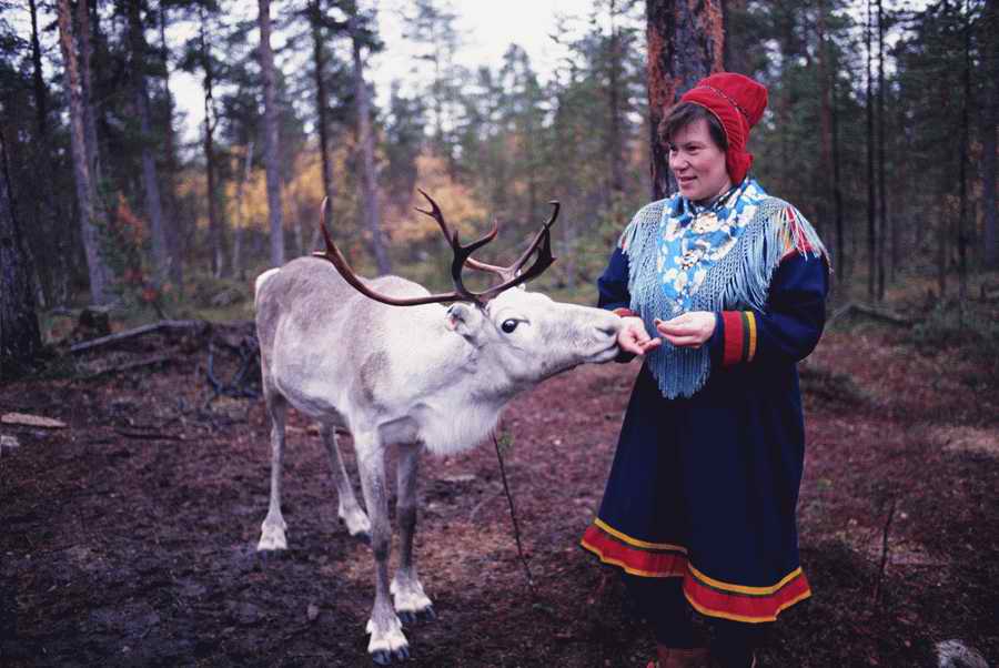 Holidays & Celebrations - Photodisc ></a>
<script language=JavaScript> 
  var txt = 