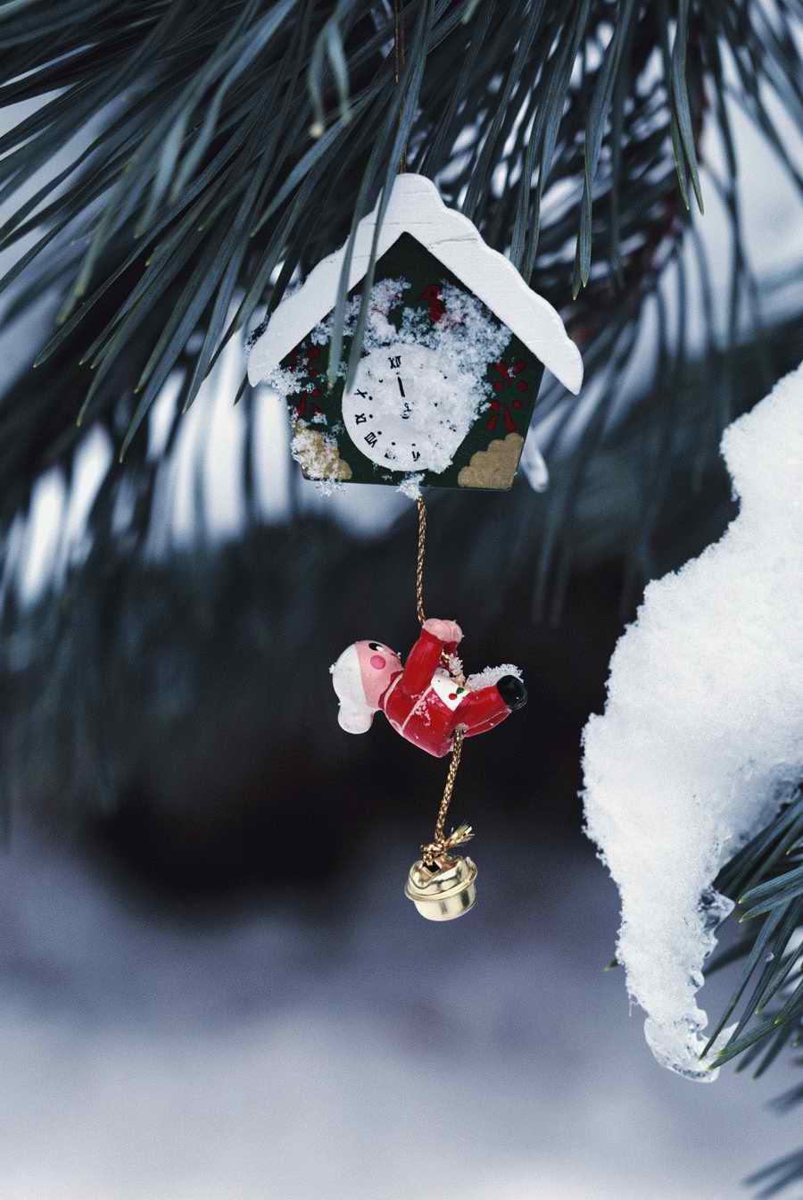 Holidays & Celebrations - Photodisc ></a>
<script language=JavaScript> 
  var txt = 