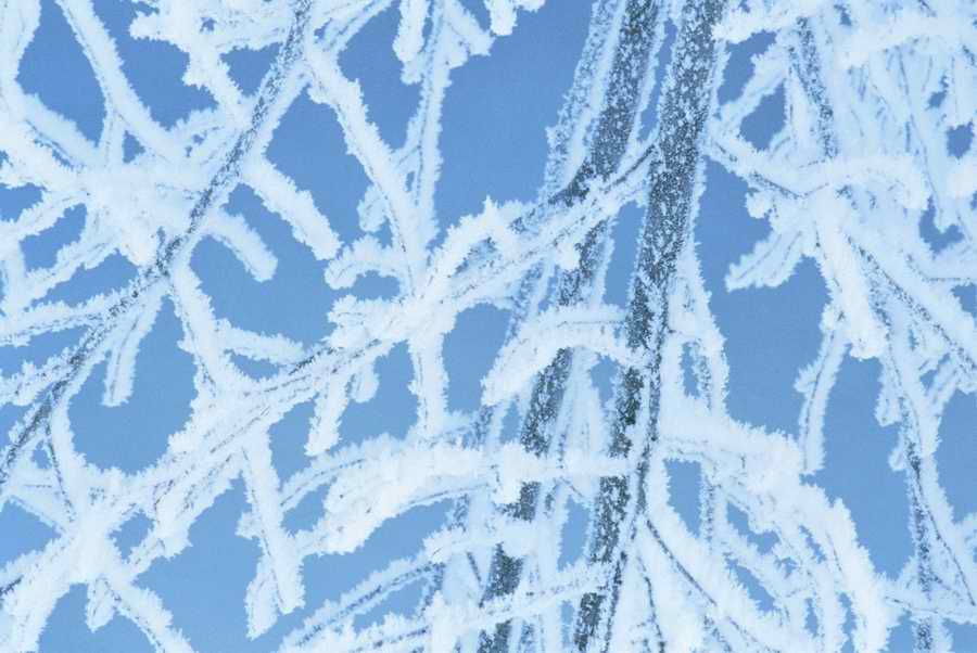 Holidays & Celebrations - Photodisc ></a>
<script language=JavaScript> 
  var txt = 