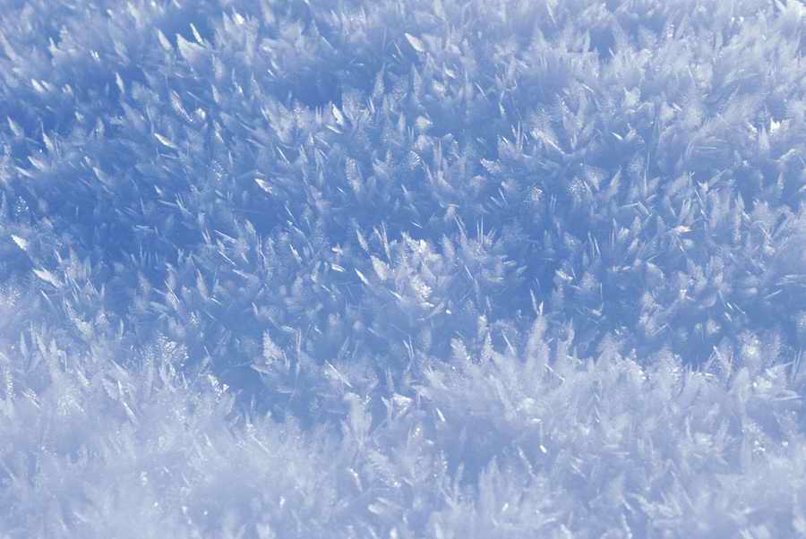 Holidays & Celebrations - Photodisc ></a>
<script language=JavaScript> 
  var txt = 