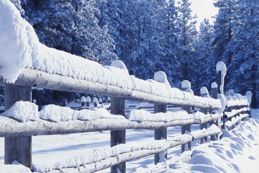 Holidays & Celebrations - Photodisc ></a>
<script language=JavaScript> 
  var txt = 