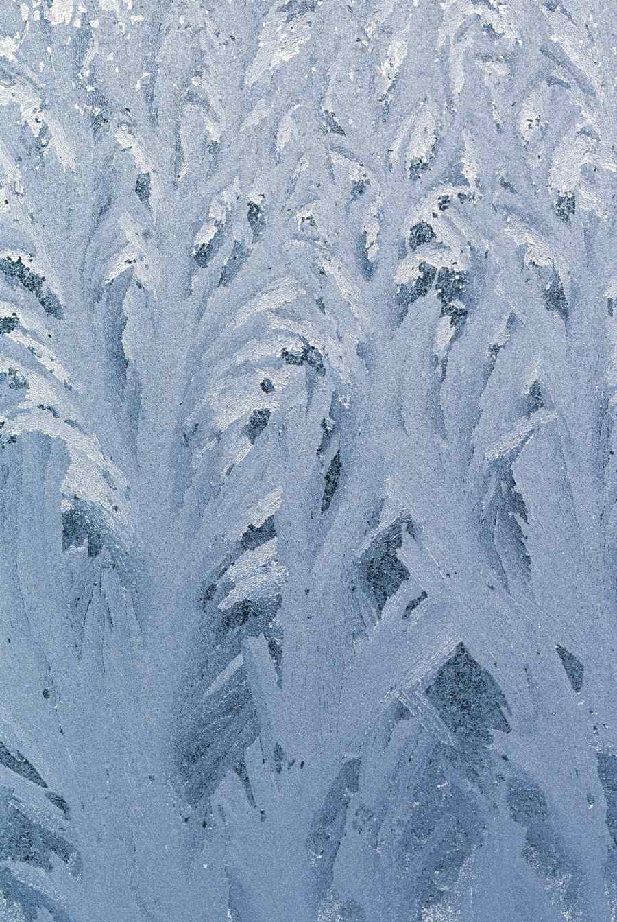 Holidays & Celebrations - Photodisc ></a>
<script language=JavaScript> 
  var txt = 