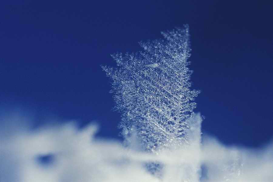 Holidays & Celebrations - Photodisc ></a>
<script language=JavaScript> 
  var txt = 