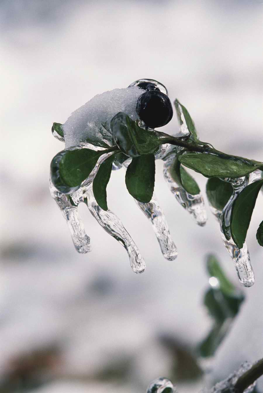 Holidays & Celebrations - Photodisc ></a>
<script language=JavaScript> 
  var txt = 