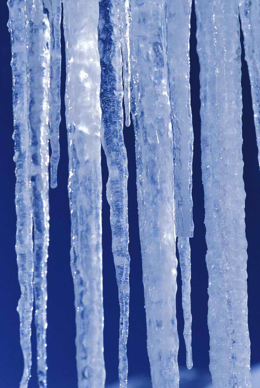 Holidays & Celebrations - Photodisc ></a>
<script language=JavaScript> 
  var txt = 