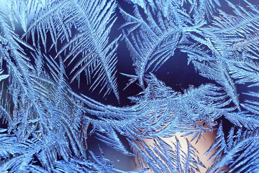 Holidays & Celebrations - Photodisc ></a>
<script language=JavaScript> 
  var txt = 