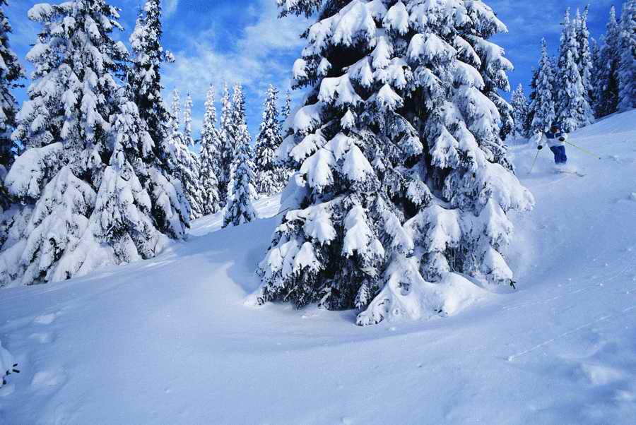 Holidays & Celebrations - Photodisc ></a>
<script language=JavaScript> 
  var txt = 