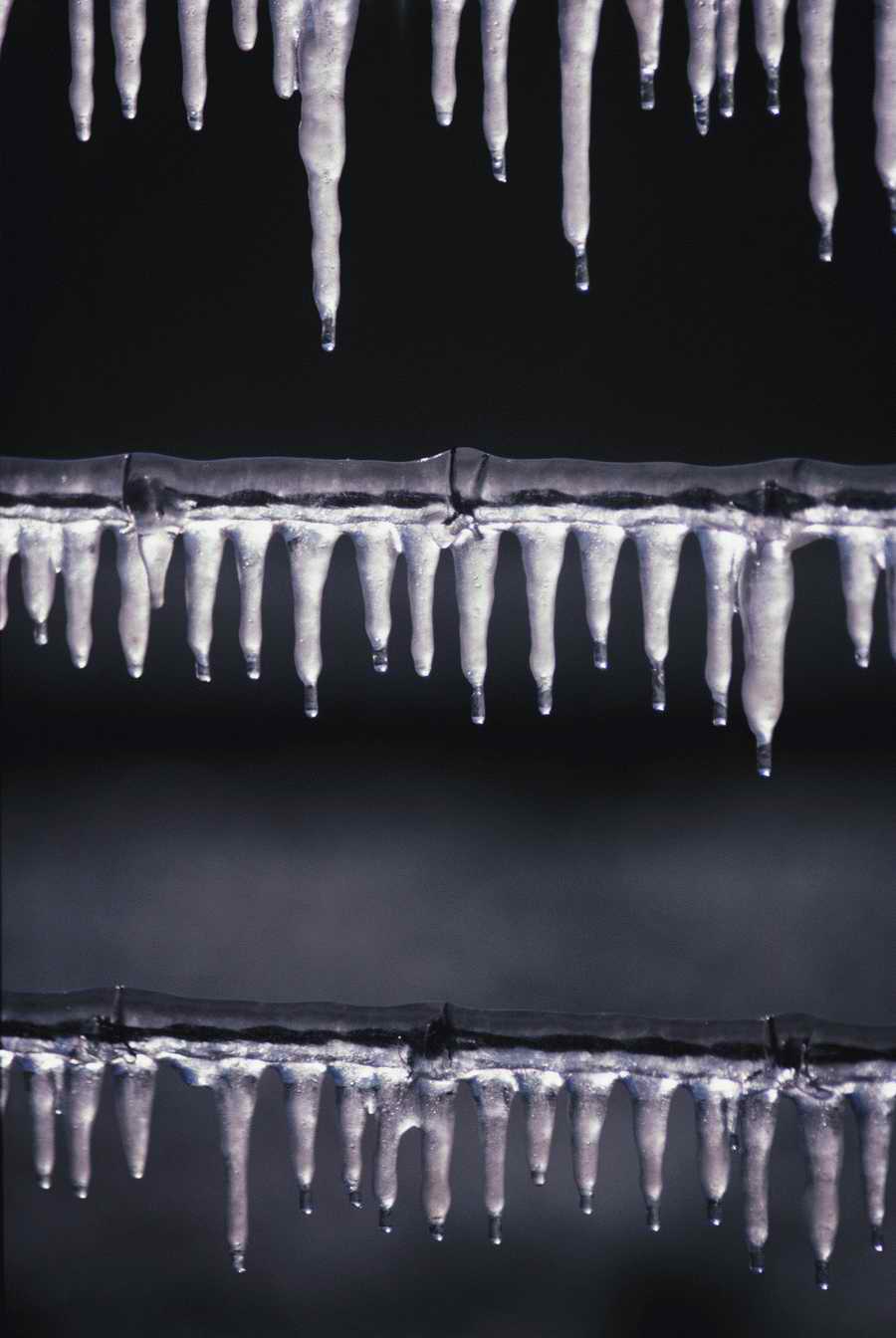 Holidays & Celebrations - Photodisc ></a>
<script language=JavaScript> 
  var txt = 