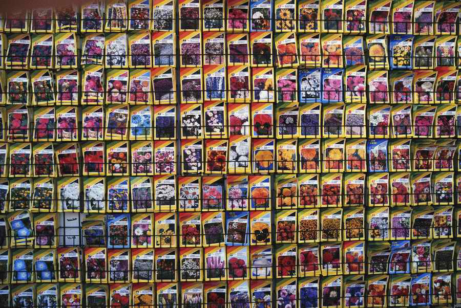 Holidays & Celebrations - Photodisc ></a>
<script language=JavaScript> 
  var txt = 