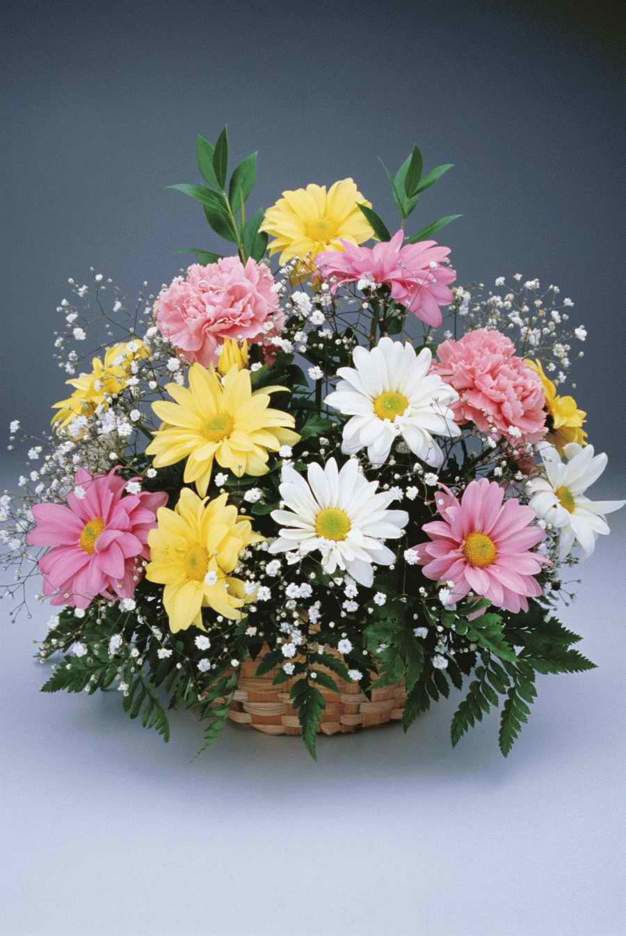 Holidays & Celebrations - Photodisc ></a>
<script language=JavaScript> 
  var txt = 