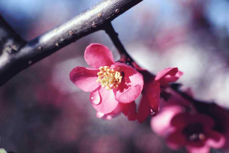 Holidays & Celebrations - Photodisc ></a>
<script language=JavaScript> 
  var txt = 