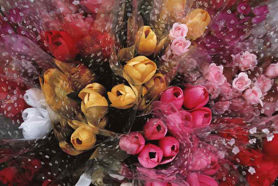 Holidays & Celebrations - Photodisc ></a>
<script language=JavaScript> 
  var txt = 