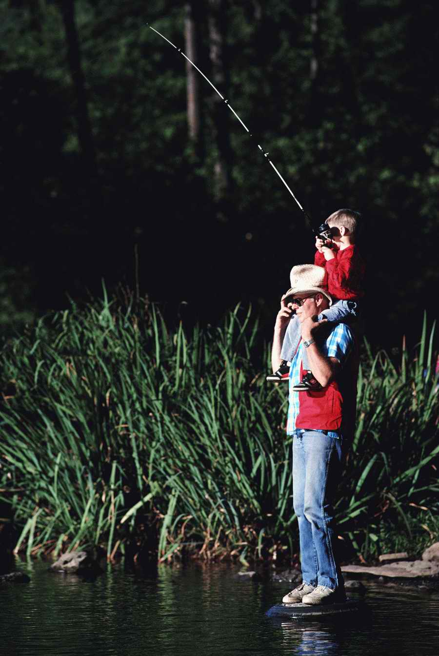 Holidays & Celebrations - Photodisc ></a>
<script language=JavaScript> 
  var txt = 