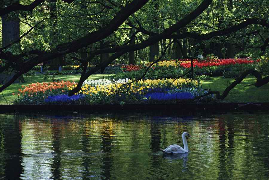 Holidays & Celebrations - Photodisc ></a>
<script language=JavaScript> 
  var txt = 