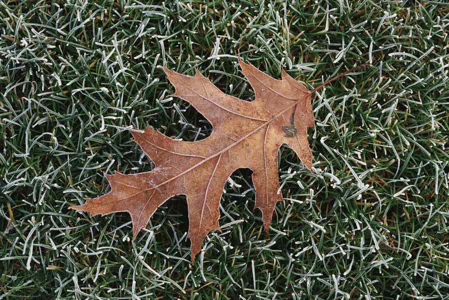 Holidays & Celebrations - Photodisc ></a>
<script language=JavaScript> 
  var txt = 