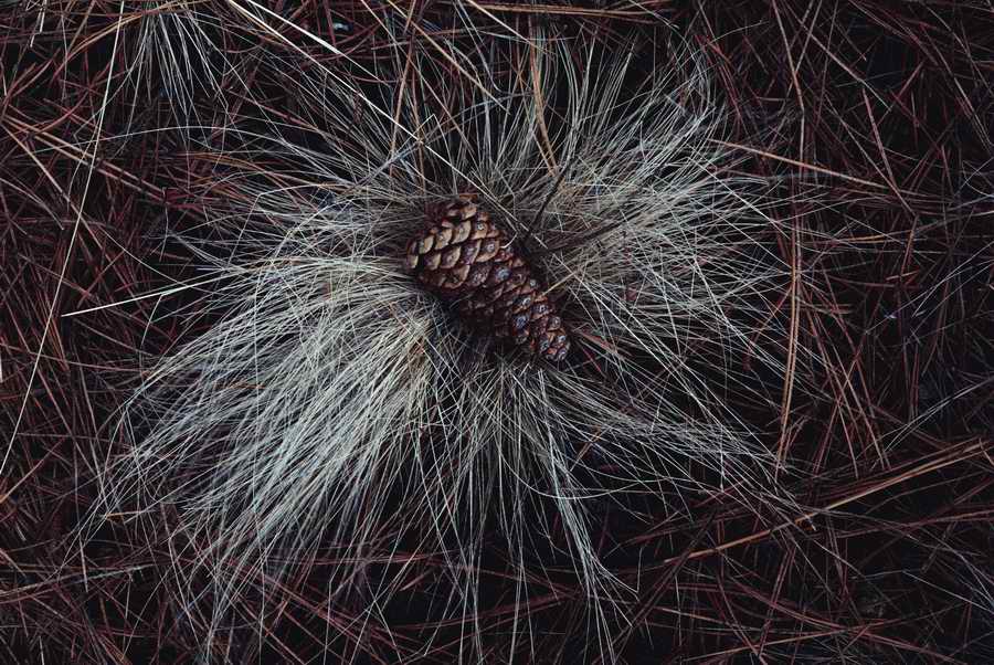 Holidays & Celebrations - Photodisc ></a>
<script language=JavaScript> 
  var txt = 